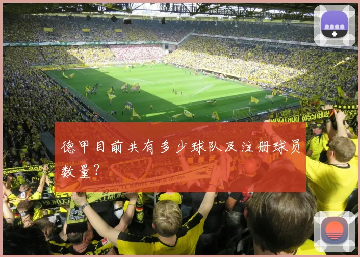 德甲目前共有多少球队及注册球员数量？