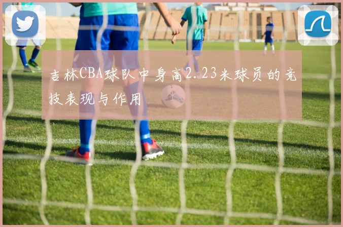 吉林CBA球队中身高2.23米球员的竞技表现与作用