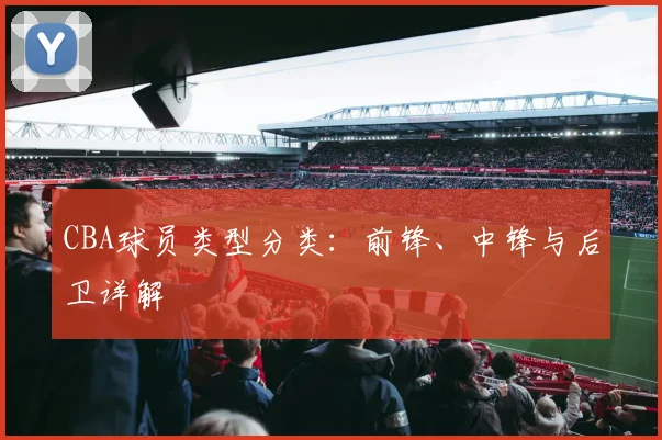 CBA球员类型分类:前锋、中锋与后卫详解